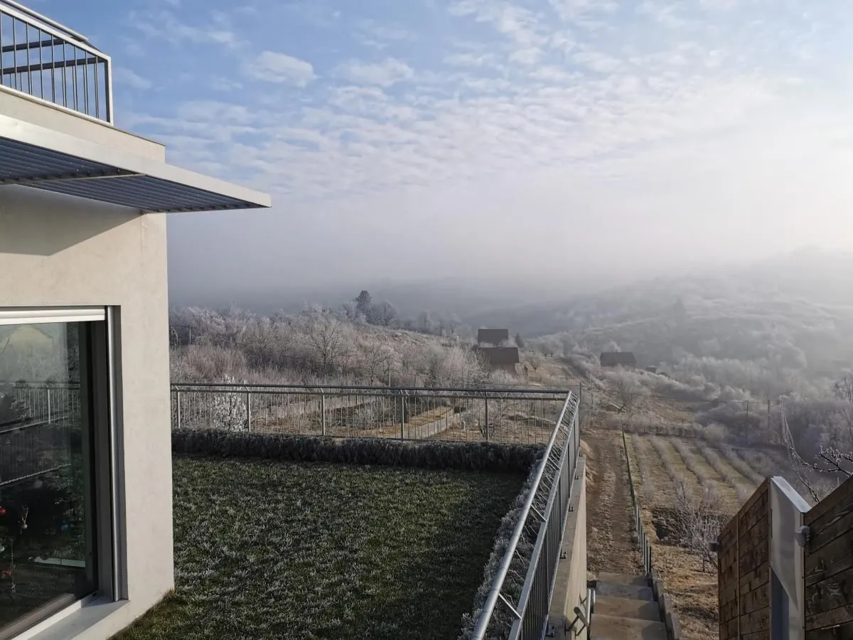 Prodaja, kuća, 337m², Sremska Kamenica, Petrovaradin