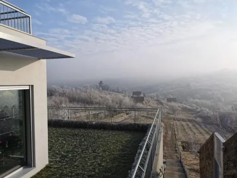 Prodaja, kuća, 337m², Sremska Kamenica, Petrovaradin - image 31