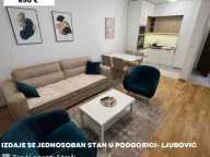 Izdavanje, jednosoban stan, 51m², Ljubović, Podgorica - image 1