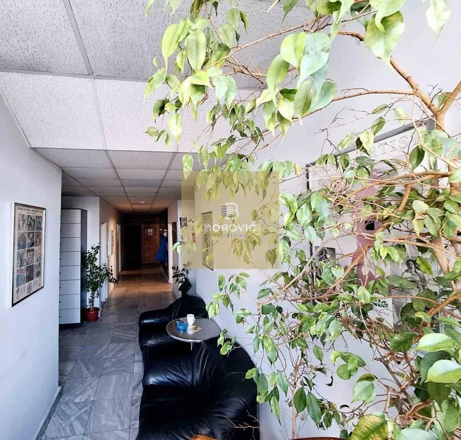 Rent, office space, 215m², Banovo Brdo, Beograd