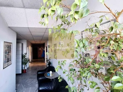 Izdavanje, poslovni prostor, 215m², Banovo Brdo, Beograd - image 15