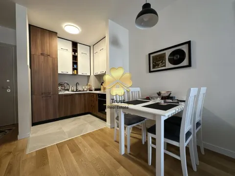 Izdavanje, jednosoban stan, 40m², Central Point, Podgorica - image 4