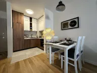 Izdavanje, jednosoban stan, 40m², Central Point, Podgorica - image 4