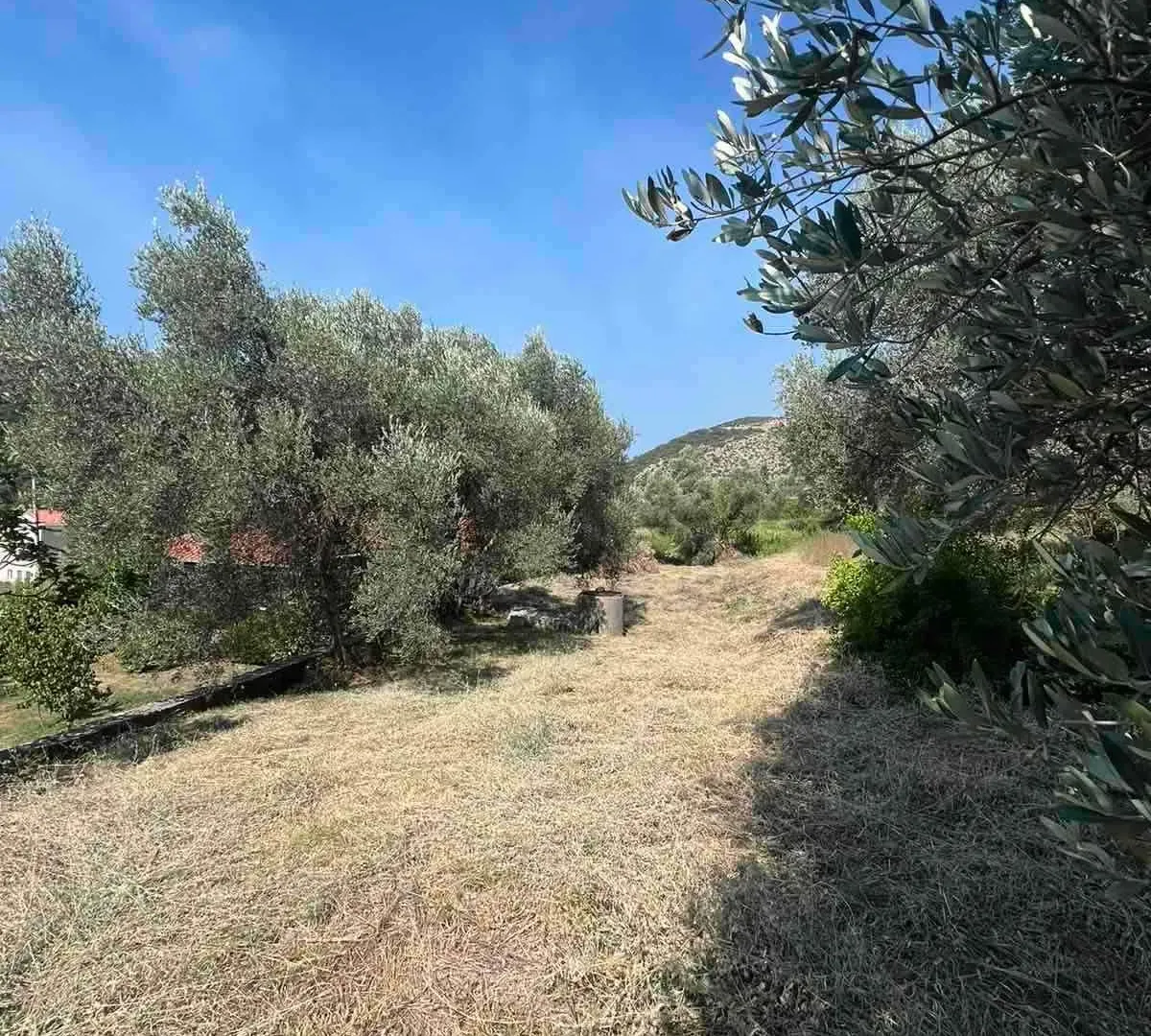 Prodaja, plac, 464m², Budva, Crna Gora