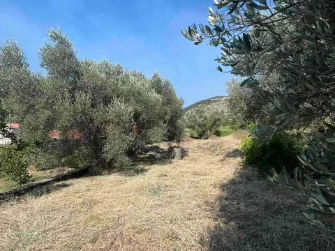 Prodaja, plac, 464m², Budva, Crna Gora - image 2