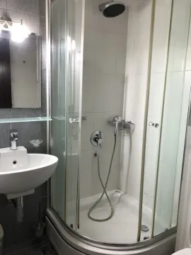 A bathroom with a shower cabin and a white sink. - image 28