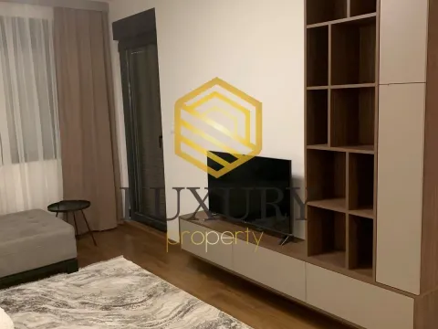 Rent, one bedroom apartment, 50m², Tološka šuma, Podgorica - image 6