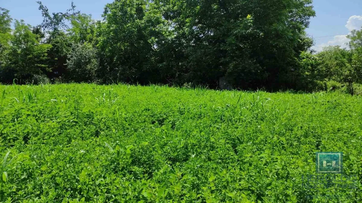 Prodaja, kuća, 75m², Ribare, Jagodina