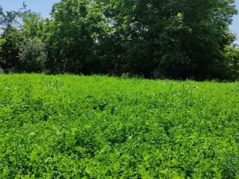 Prodaja, kuća, 75m², Ribare, Jagodina - image 14