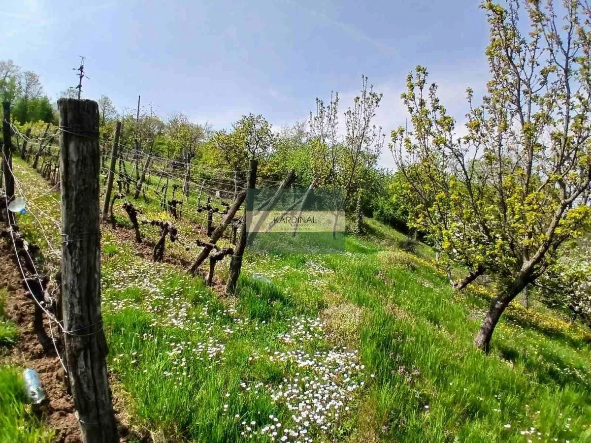 Prodaja, plac, 1258m², Majur, Jagodina