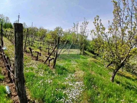 Prodaja, plac, 1258m², Majur, Jagodina - image 2