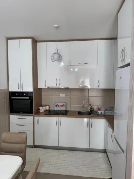 Rent, one bedroom apartment, 59m², Central Point, Podgorica - image 287