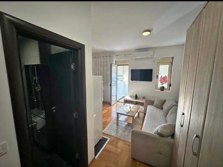 Rent, studio apartment, 26m², Zabjelo, Podgorica