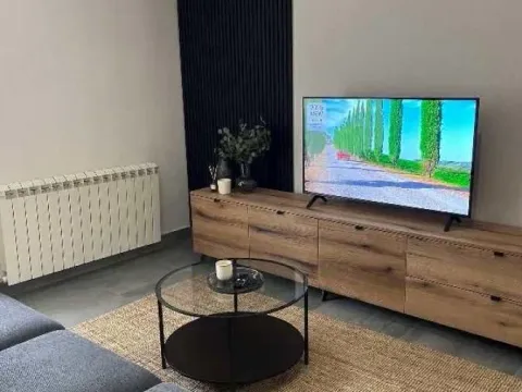 Izdavanje, jednosoban stan, 70m², Vračar Hram, Vračar Sve Podlokacije - image 3