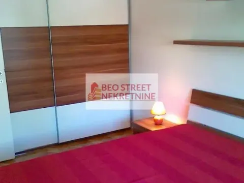 Izdavanje, dvosoban stan, 45m², Vračar Centar, Vračar Sve Podlokacije - image 7