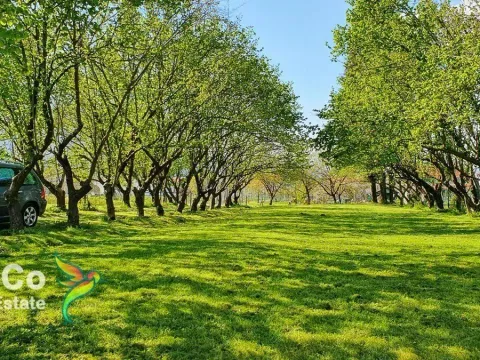 Prodaja, kuća, 132m², Danilovgrad, Crna Gora - image 9