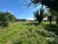 Prodaja, plac, 2737m², Kosić, Danilovgrad - image 2