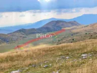 Prodaja, plac, 77000m², Ravno, Plužine - image 2