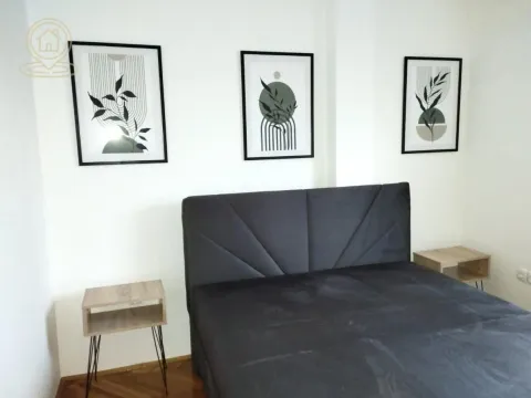 Izdavanje, dvosoban stan, 45m², Centar, Novi Sad - image 6