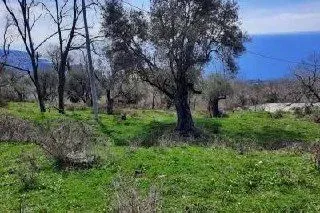 Prodaja, plac, 2600m², Dobra Voda, Bar