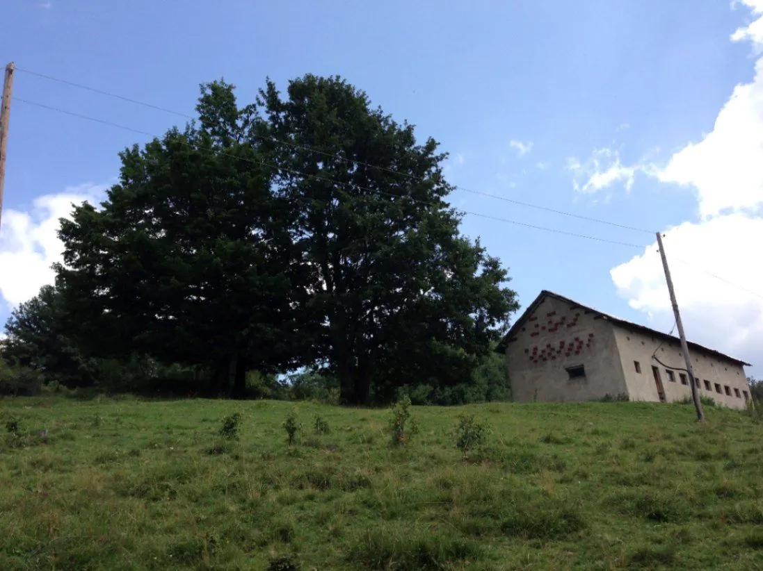 Prodaja, plac, 86000m², Grančarevo, Bijelo Polje