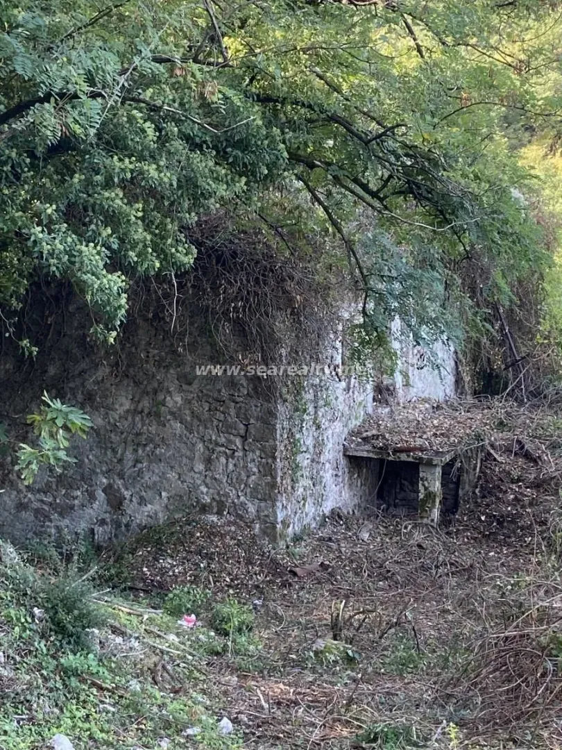Stara kamena kuća u ruševnom stanju obrasla rastinjem i šumom.