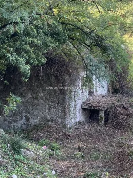 Stara kamena kuća u ruševnom stanju obrasla rastinjem i šumom. - image 5