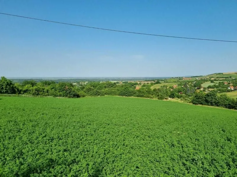 Prodaja, plac, 8400m², Sremski Karlovci, Novi Sad