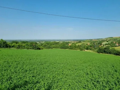 Prodaja, plac, 8400m², Sremski Karlovci, Novi Sad - image 6