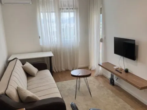 Sale, one bedroom apartment, 43m², Tuški Put, Podgorica - image 10
