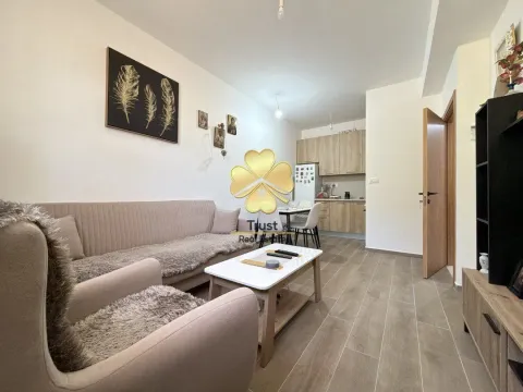 Sale, one bedroom apartment, 35m², Zabjelo, Podgorica - image 2