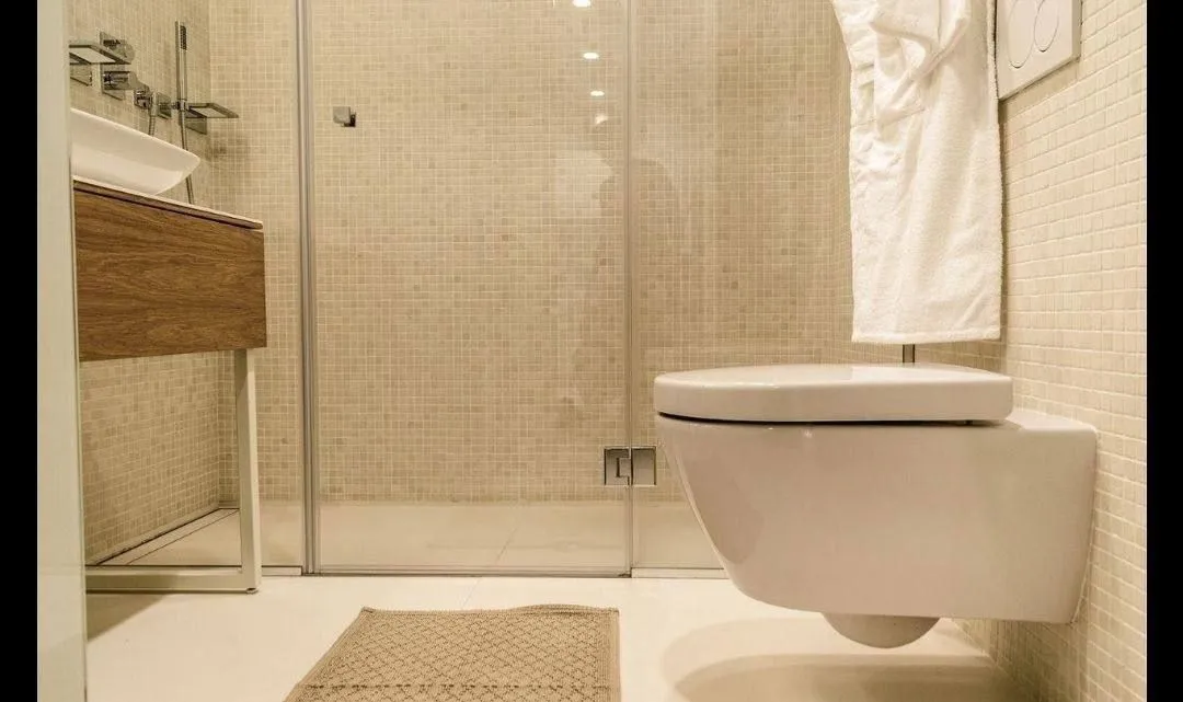 Modern bathroom with a walk-in shower and a wall-mounted toilet.