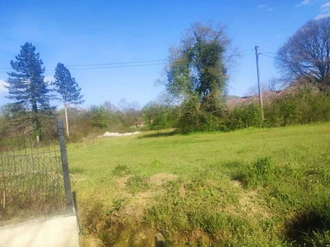 Sale, land lot, 5000m², Ćurilac, Danilovgrad - image 3