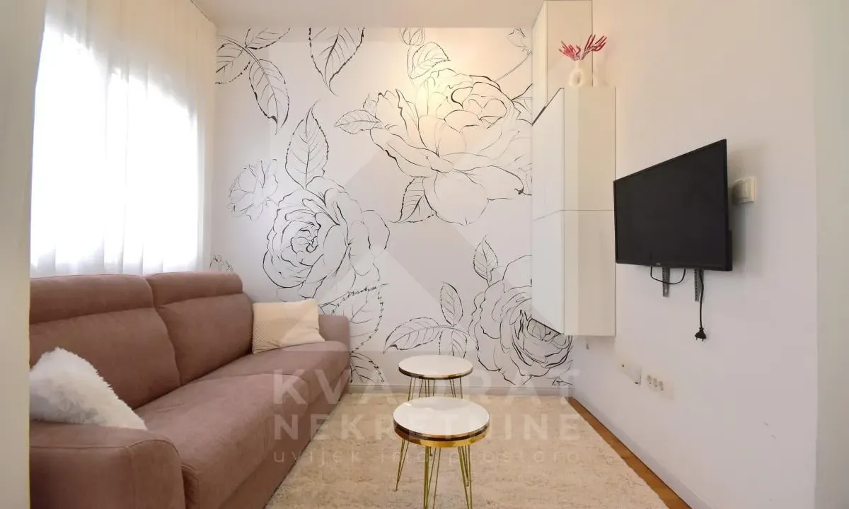 Izdavanje, garsonjera, 24m², Zabjelo, Podgorica