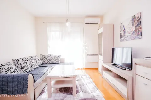 Rent, one bedroom apartment, 59m², Central Point, Podgorica - image 1531