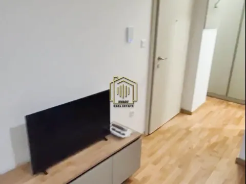 Rent, apartment, 28m², Zabjelo, Podgorica - image 3