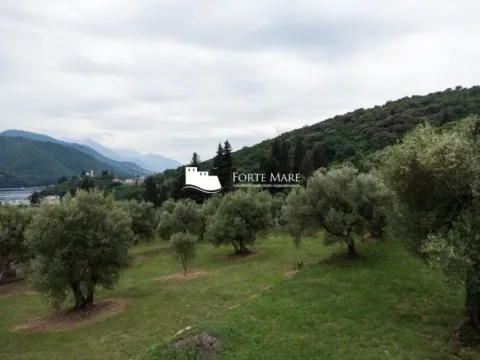 Sale, land lot, 2540m², Kamenari, Herceg Novi