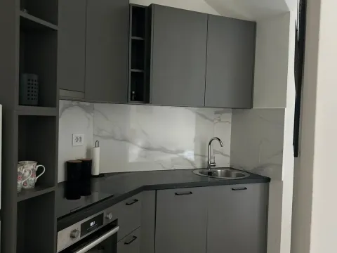 Rent, one bedroom apartment, 45m², Zagorič, Podgorica - image 4