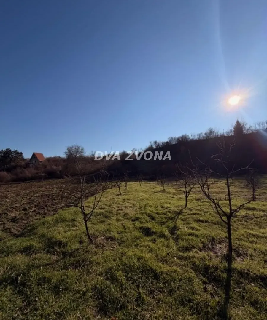 Prodaja, plac, 8400m², Čortanovci, Inđija