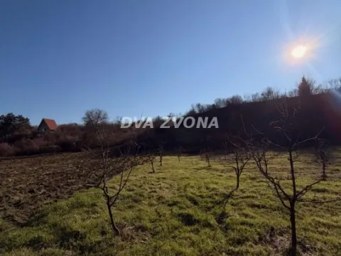 Prodaja, plac, 8400m², Čortanovci, Inđija - image 2