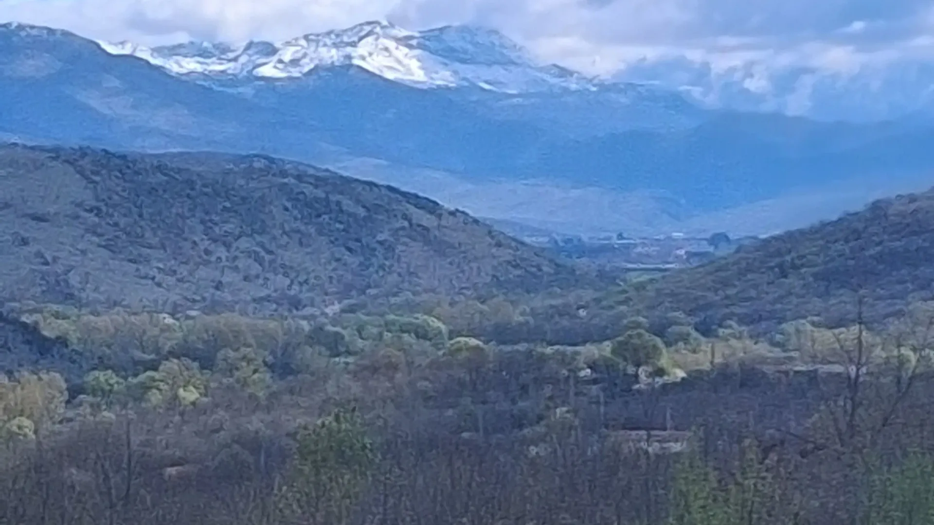 Prodaja, plac, 8930m², Bandići, Danilovgrad