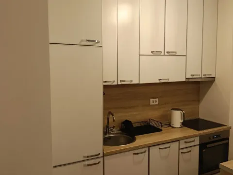 Izdavanje, jednosoban stan, 60m², Stari Aerodrom, Podgorica - image 4