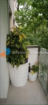 Balkon sa saksijama sa zelenilom i pogledom na drveće. - image 11