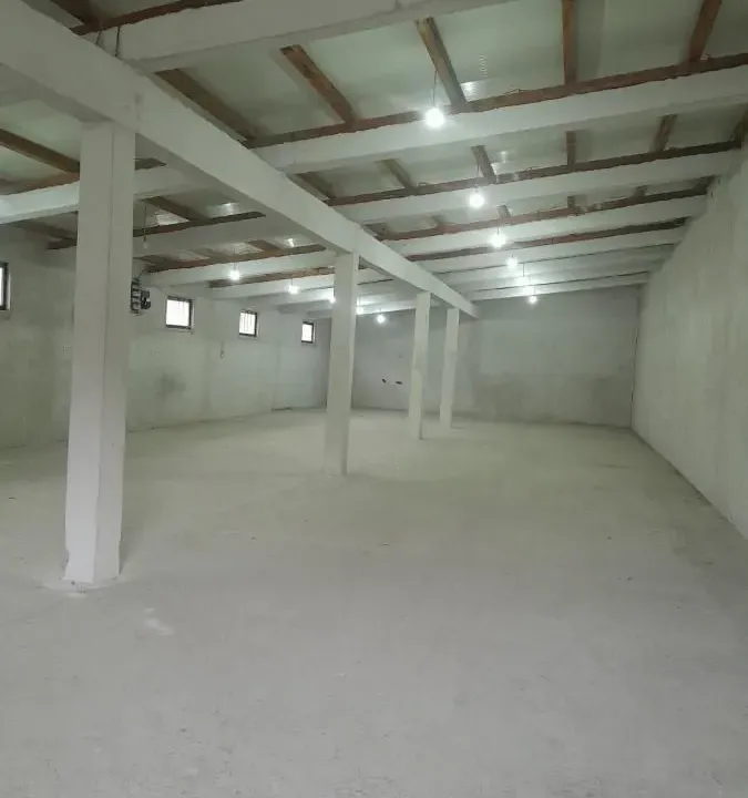 Izdavanje, poslovni prostor, 280m², Niš, Srbija