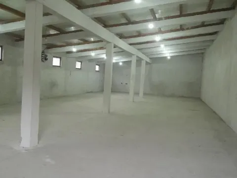 Izdavanje, poslovni prostor, 280m², Niš, Srbija