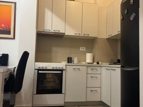 Izdavanje, jednosoban stan, 48m², Vezirov Most, Podgorica - image 2