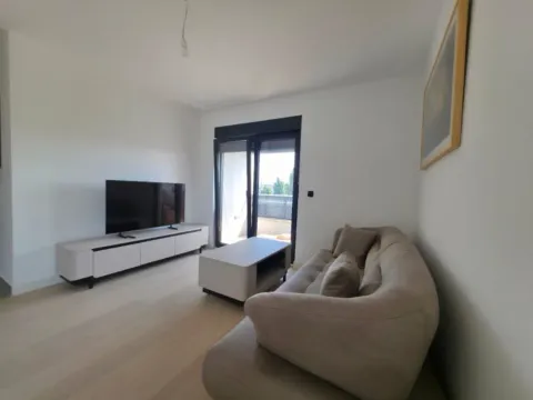 Izdavanje, dvosoban stan, 69m², Krivi Most, Podgorica - image 3