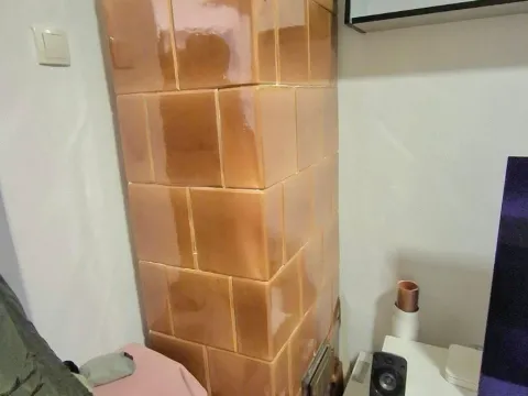 Sale, two bedroom apartment, 59m², Zemun Cara Dušana, Zemun Sve Podlokacije - image 9