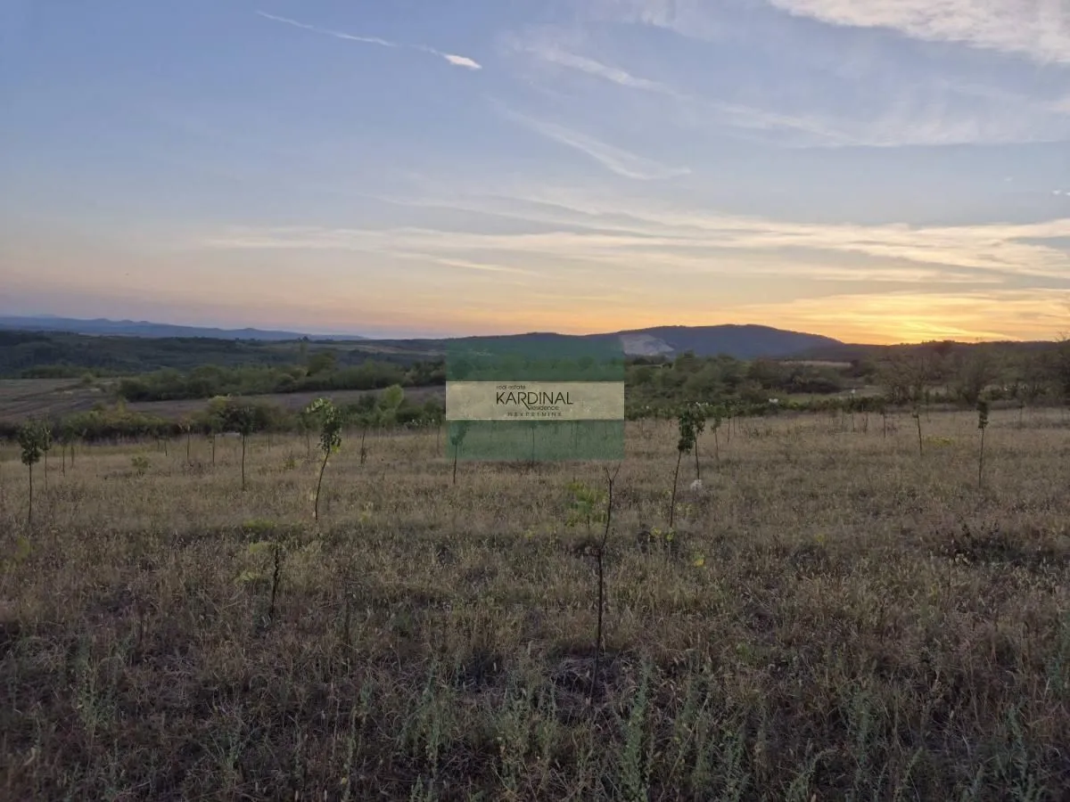 Prodaja, plac, 27920m², Siokovac, Jagodina