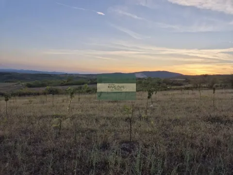 Prodaja, plac, 27920m², Siokovac, Jagodina - image 21